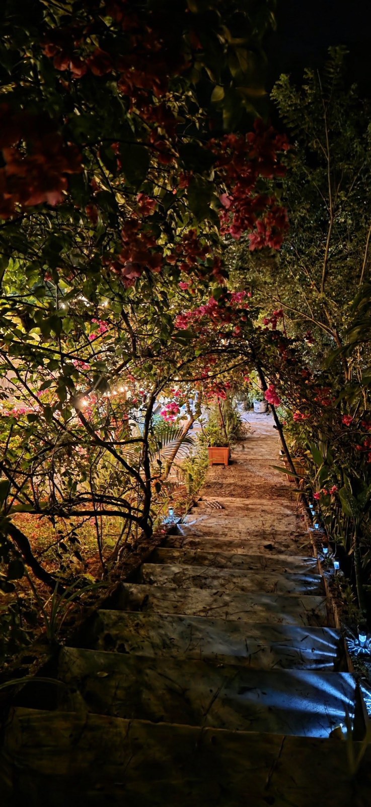 Jardín del hotel de noche